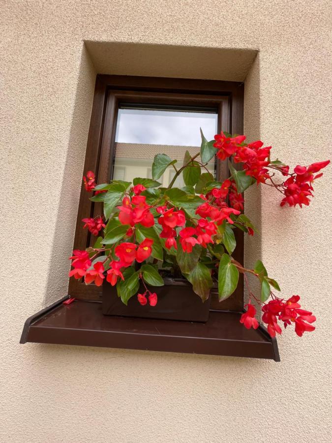 Sloneczne Apartamenty Polanica-Zdrój Buitenkant foto