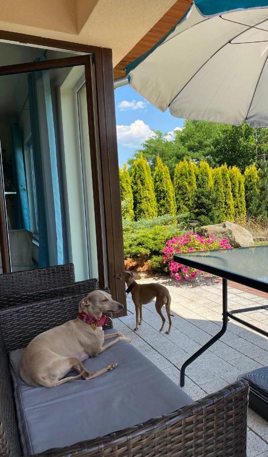 Sloneczne Apartamenty Polanica-Zdrój Buitenkant foto